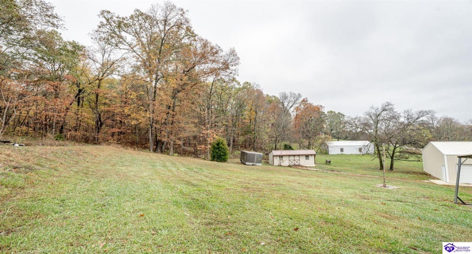 McCrary Road, Guston, Kentucky 40142, ,2 BathroomsBathrooms,For Sale,McCrary Road,HK24004288