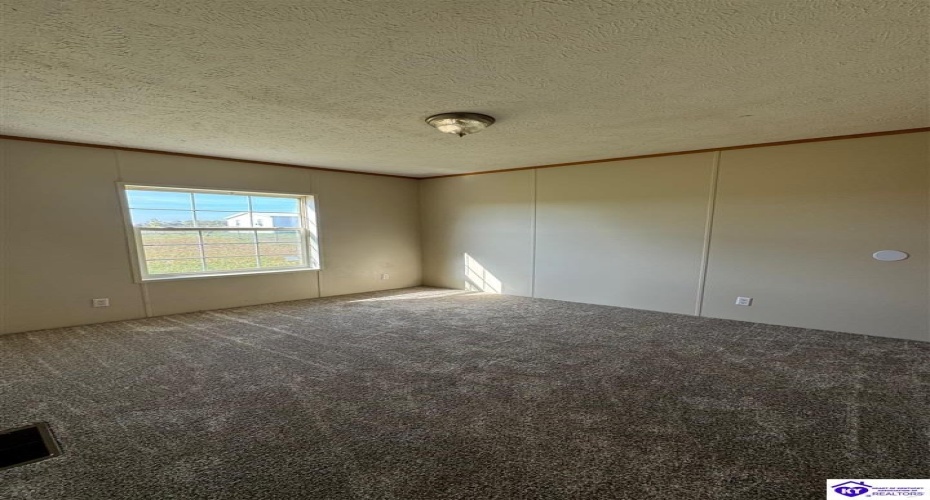 Shale Lane, Rineyville, Kentucky 40161, ,2 BathroomsBathrooms,For Sale,Shale Lane,HK24004289