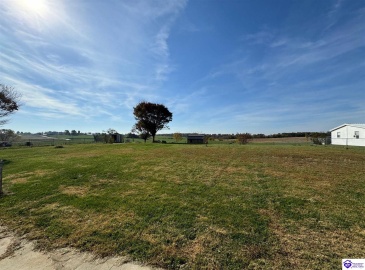 Shale Lane, Rineyville, Kentucky 40161, ,2 BathroomsBathrooms,For Sale,Shale Lane,HK24004289