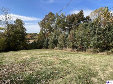 Otter Creek Road, Vine Grove, Kentucky 40175, ,3 BathroomsBathrooms,For Sale,Otter Creek Road,HK24004291