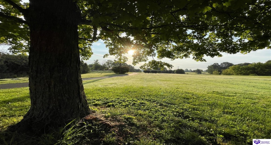 Otter Creek Road, Vine Grove, Kentucky 40175, ,3 BathroomsBathrooms,For Sale,Otter Creek Road,HK24004291