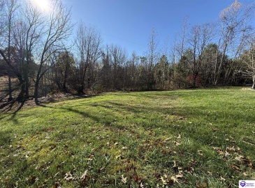 Teresa Road, Elizabethtown, Kentucky 42701, ,2 BathroomsBathrooms,For Sale,Teresa Road,HK24004293