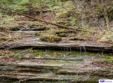 Hidden Falls Drive, Mount Washington, Kentucky 40047, ,2 BathroomsBathrooms,For Sale,Hidden Falls Drive,HK24004297