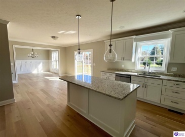 Mt Moriah Boulevard, Rineyville, Kentucky 40162, ,4 BathroomsBathrooms,For Sale,Mt Moriah Boulevard,HK24004307