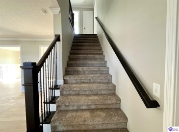 Mt Moriah Boulevard, Rineyville, Kentucky 40162, ,4 BathroomsBathrooms,For Sale,Mt Moriah Boulevard,HK24004307