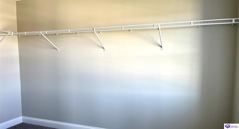 Mt Moriah Boulevard, Rineyville, Kentucky 40162, ,4 BathroomsBathrooms,For Sale,Mt Moriah Boulevard,HK24004307