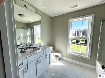 Mt Moriah Boulevard, Rineyville, Kentucky 40162, ,4 BathroomsBathrooms,For Sale,Mt Moriah Boulevard,HK24004307