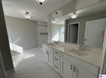 Mt Moriah Boulevard, Rineyville, Kentucky 40162, ,4 BathroomsBathrooms,For Sale,Mt Moriah Boulevard,HK24004307