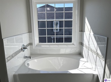 Mt Moriah Boulevard, Rineyville, Kentucky 40162, ,4 BathroomsBathrooms,For Sale,Mt Moriah Boulevard,HK24004307