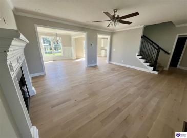 Mt Moriah Boulevard, Rineyville, Kentucky 40162, ,4 BathroomsBathrooms,For Sale,Mt Moriah Boulevard,HK24004307