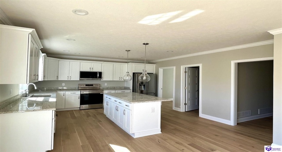 Mt Moriah Boulevard, Rineyville, Kentucky 40162, ,4 BathroomsBathrooms,For Sale,Mt Moriah Boulevard,HK24004307