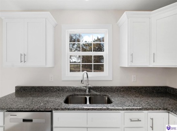 Addison Ct, Guston, Kentucky 40142, ,3 BathroomsBathrooms,For Sale,Addison Ct,HK24004331