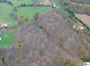 Shelton Road, Radcliff, Kentucky 40160, ,For Sale,Shelton Road,HK24004339