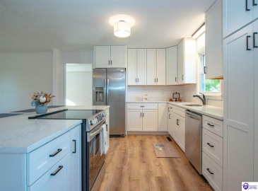 Guston Road, Guston, Kentucky 40142, ,3 BathroomsBathrooms,For Sale,Guston Road,HK24004341