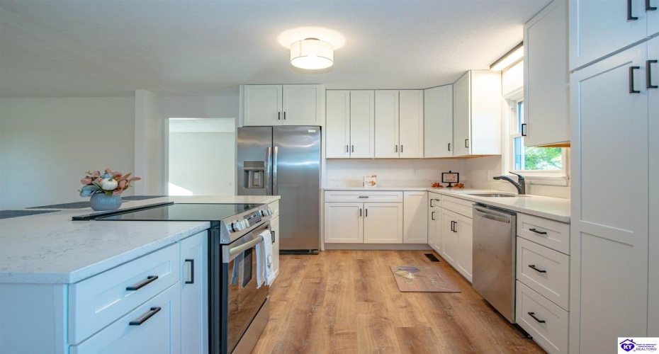 Guston Road, Guston, Kentucky 40142, ,3 BathroomsBathrooms,For Sale,Guston Road,HK24004341