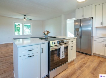 Guston Road, Guston, Kentucky 40142, ,3 BathroomsBathrooms,For Sale,Guston Road,HK24004341