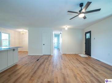 Guston Road, Guston, Kentucky 40142, ,3 BathroomsBathrooms,For Sale,Guston Road,HK24004341