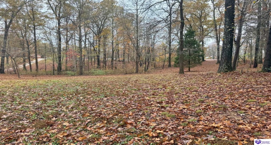 Wildwood Drive, Elizabethtown, Kentucky 42701, ,2 BathroomsBathrooms,For Sale,Wildwood Drive,HK24004347