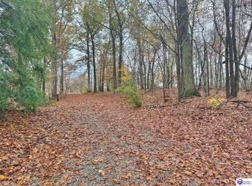 Wildwood Drive, Elizabethtown, Kentucky 42701, ,2 BathroomsBathrooms,For Sale,Wildwood Drive,HK24004347