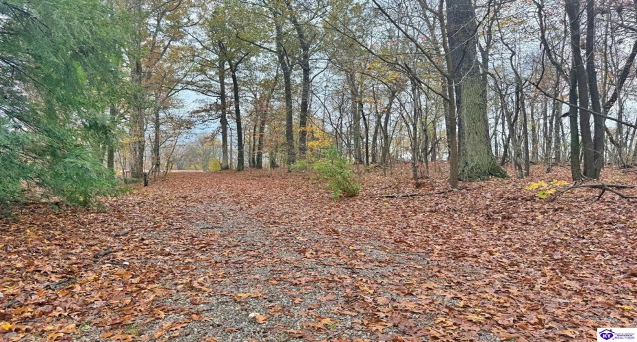 Wildwood Drive, Elizabethtown, Kentucky 42701, ,2 BathroomsBathrooms,For Sale,Wildwood Drive,HK24004347