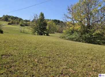Guston Road, Guston, Kentucky 40142, ,For Sale,Guston Road,HK24003791