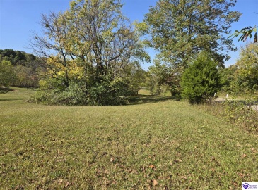 Guston Road, Guston, Kentucky 40142, ,For Sale,Guston Road,HK24003791