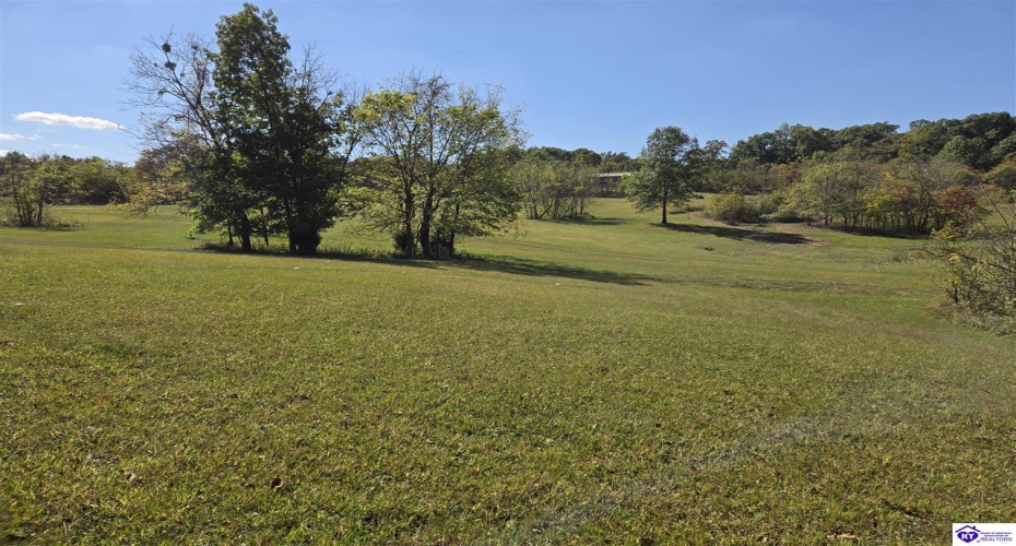 Guston Road, Guston, Kentucky 40142, ,For Sale,Guston Road,HK24003791