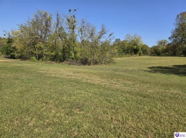 Guston Road, Guston, Kentucky 40142, ,For Sale,Guston Road,HK24003791