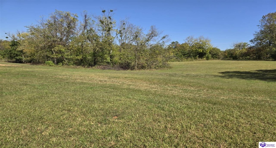 Guston Road, Guston, Kentucky 40142, ,For Sale,Guston Road,HK24003791