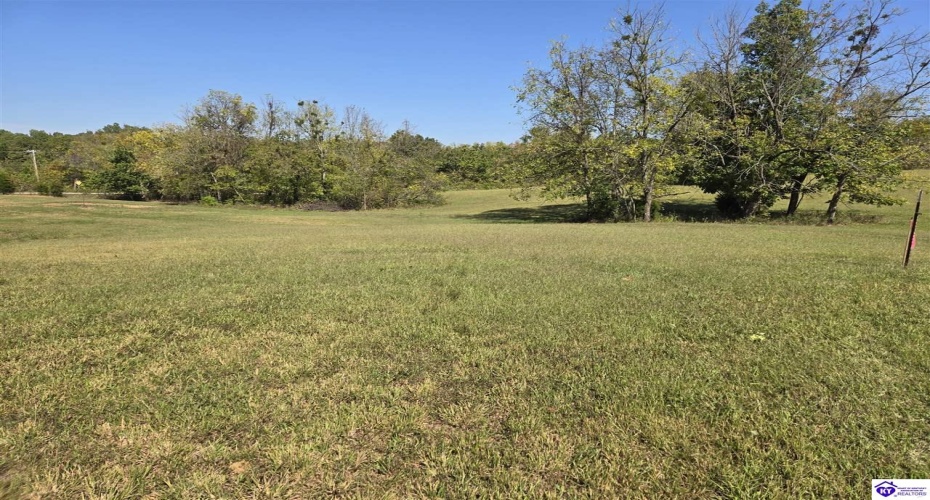 Guston Road, Guston, Kentucky 40142, ,For Sale,Guston Road,HK24003791