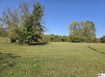 Guston Road, Guston, Kentucky 40142, ,For Sale,Guston Road,HK24003791