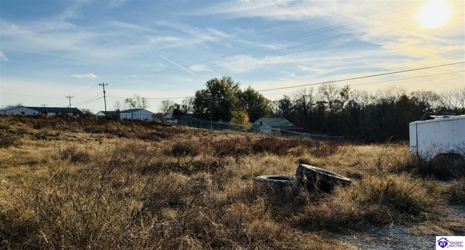 Hodgenville Road, Greensburg, Kentucky 42743, ,2 BathroomsBathrooms,For Sale,Hodgenville Road,HK24004366