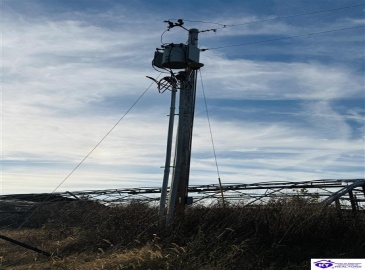 Hodgenville Road, Greensburg, Kentucky 42743, ,2 BathroomsBathrooms,For Sale,Hodgenville Road,HK24004366