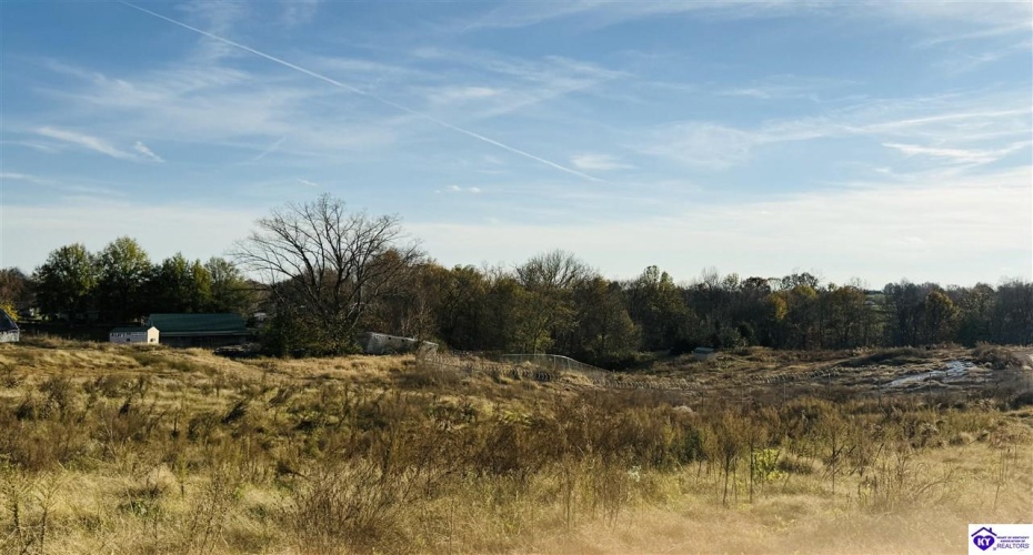 Hodgenville Road, Greensburg, Kentucky 42743, ,2 BathroomsBathrooms,For Sale,Hodgenville Road,HK24004366