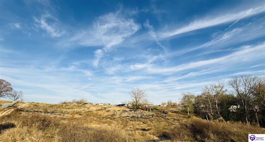 Hodgenville Road, Greensburg, Kentucky 42743, ,2 BathroomsBathrooms,For Sale,Hodgenville Road,HK24004366