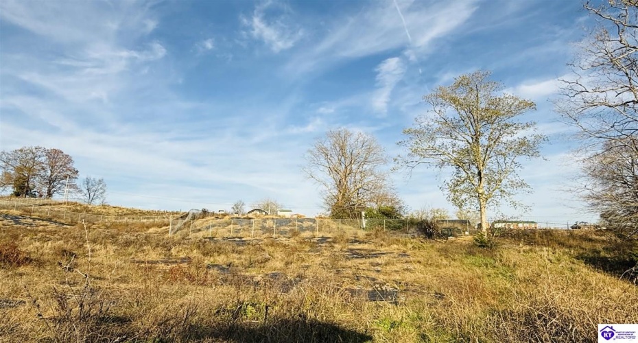 Hodgenville Road, Greensburg, Kentucky 42743, ,2 BathroomsBathrooms,For Sale,Hodgenville Road,HK24004366