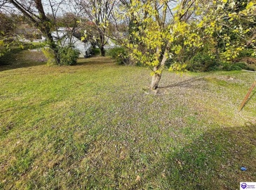 Paull Street, Columbia, Kentucky 42728, ,1 BathroomBathrooms,For Sale,Paull Street,HK24004380