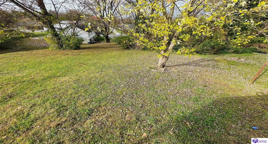 Paull Street, Columbia, Kentucky 42728, ,1 BathroomBathrooms,For Sale,Paull Street,HK24004380