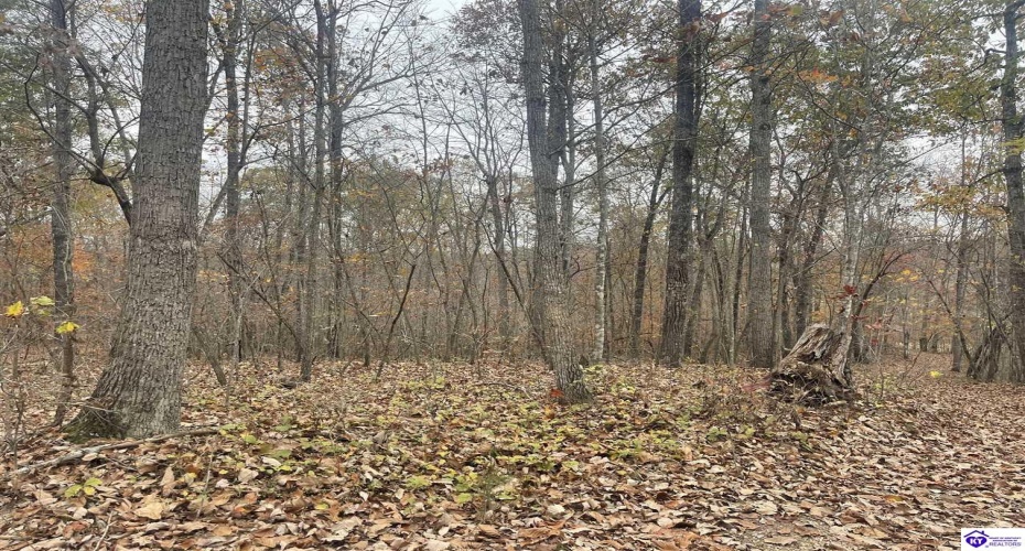 Fuller Harding Road, Campbellsville, Kentucky 42718, ,For Sale,Fuller Harding Road,HK24004386