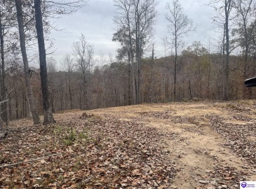 Fuller Harding Road, Campbellsville, Kentucky 42718, ,For Sale,Fuller Harding Road,HK24004386