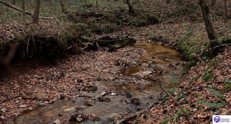 Fuller Harding Road, Campbellsville, Kentucky 42718, ,For Sale,Fuller Harding Road,HK24004386