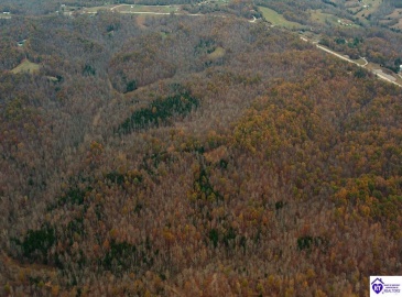 Fuller Harding Road, Campbellsville, Kentucky 42718, ,For Sale,Fuller Harding Road,HK24004386