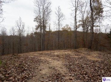 Fuller Harding Road, Campbellsville, Kentucky 42718, ,For Sale,Fuller Harding Road,HK24004386