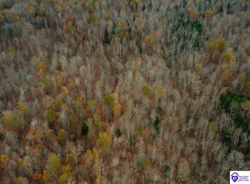 Fuller Harding Road, Campbellsville, Kentucky 42718, ,For Sale,Fuller Harding Road,HK24004387