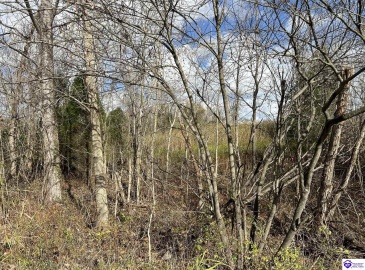 May Irby Lane, Cloverport, Kentucky 40111, ,For Sale,May Irby Lane,HK24004390