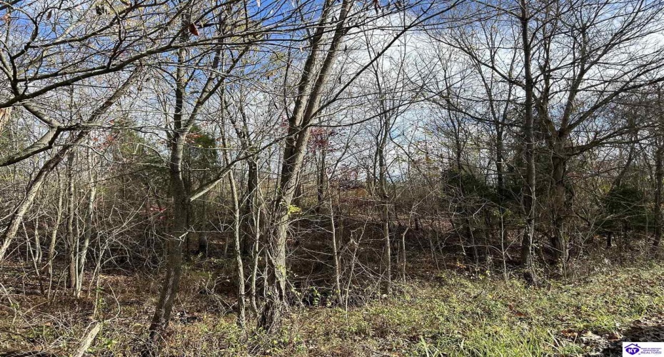 May Irby Lane, Cloverport, Kentucky 40111, ,For Sale,May Irby Lane,HK24004390