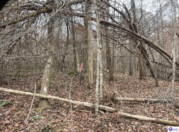 Fuller Harding Road, Campbellsville, Kentucky 42718, ,For Sale,Fuller Harding Road,HK24004393