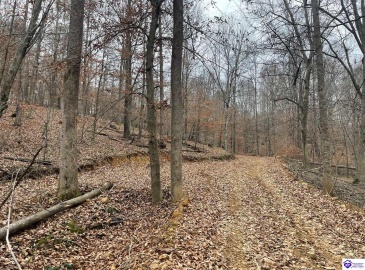 Fuller Harding Road, Campbellsville, Kentucky 42718, ,For Sale,Fuller Harding Road,HK24004393