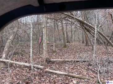 Fuller Harding Road, Campbellsville, Kentucky 42718, ,For Sale,Fuller Harding Road,HK24004393