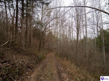 Fuller Harding Road, Campbellsville, Kentucky 42718, ,For Sale,Fuller Harding Road,HK24004394